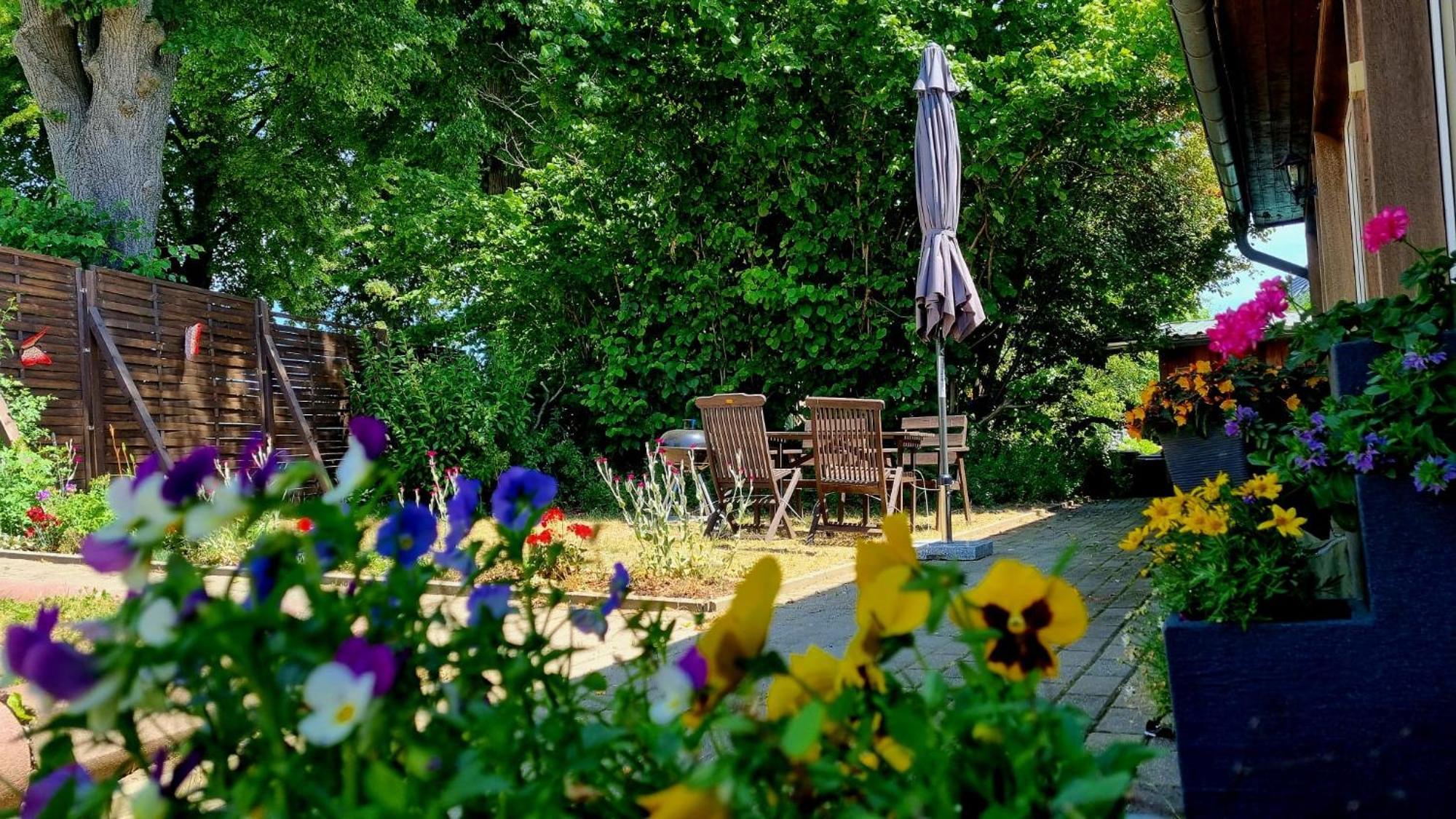 W5 - Urlaubsmagie - Wohnung Mit Grill, Terrasse & Pool Lichtenhain  Exterior photo